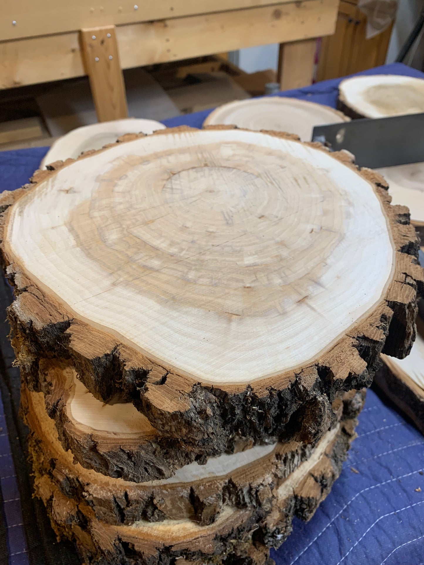 10-12" Live Edge Cookies (Rounds)