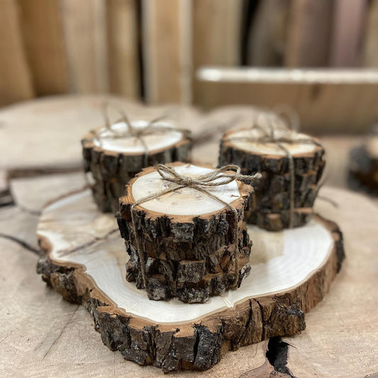 Live Edge Coasters