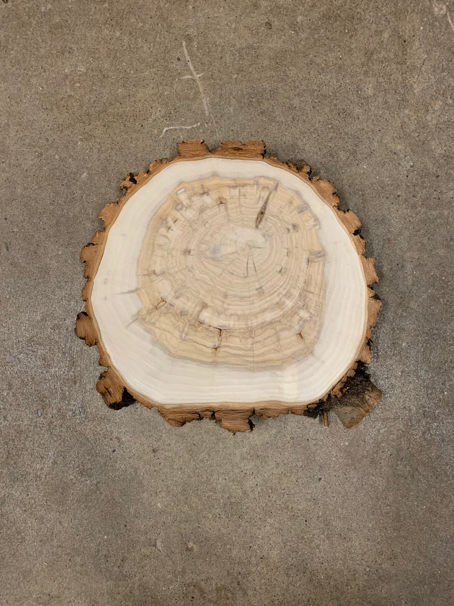 10-12" Live Edge Cookies (Rounds)