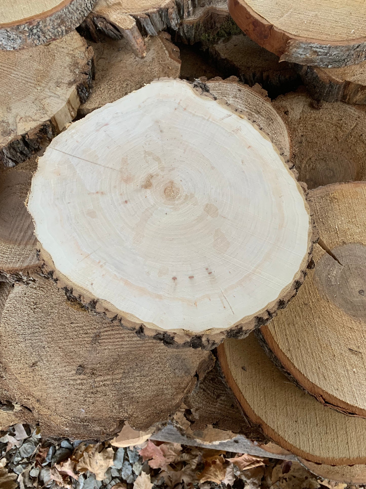 10-12" Live Edge Cookies (Rounds)