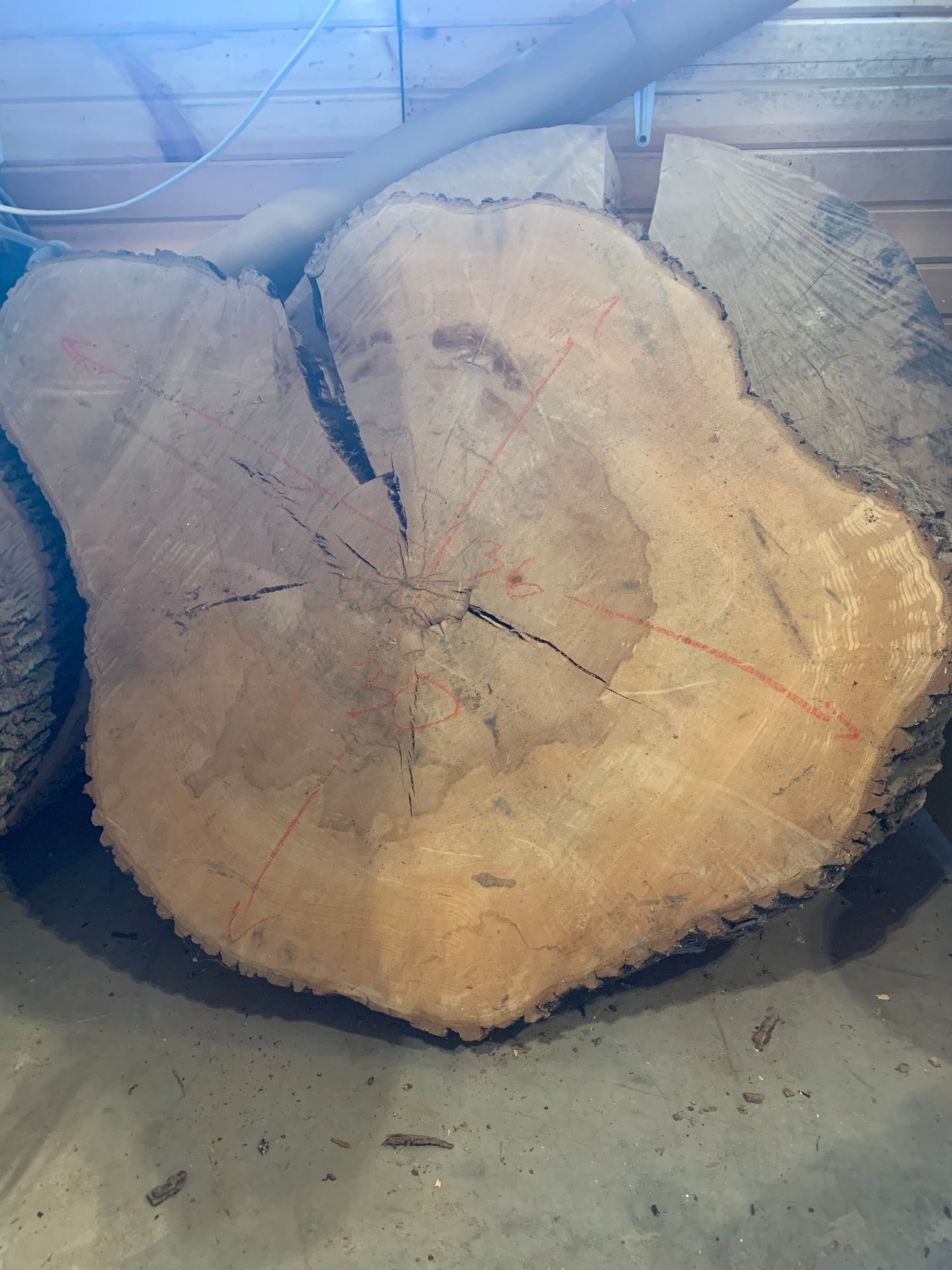 Large Live Edge Cookies (Rounds)