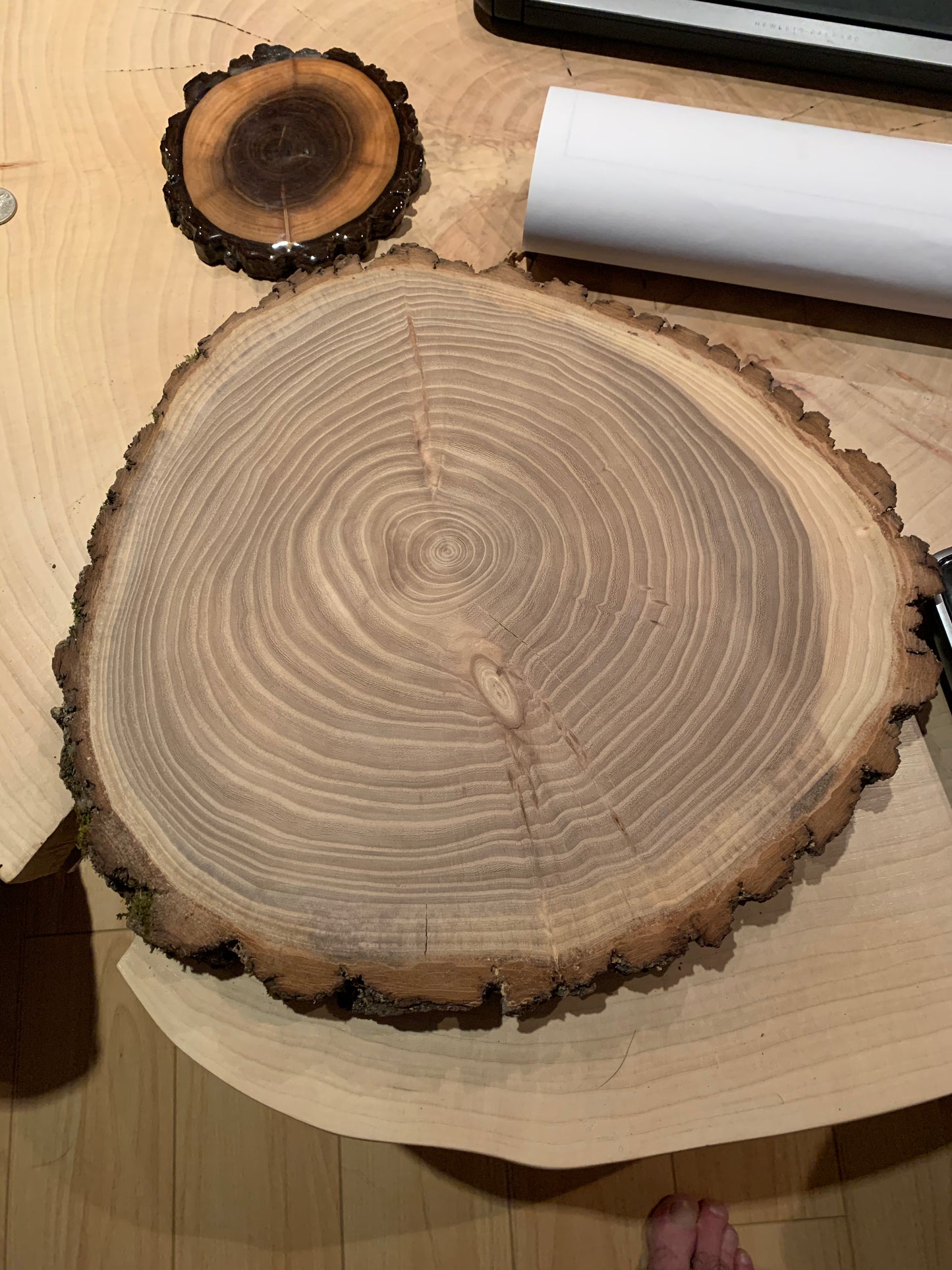 10-12" Live Edge Cookies (Rounds)