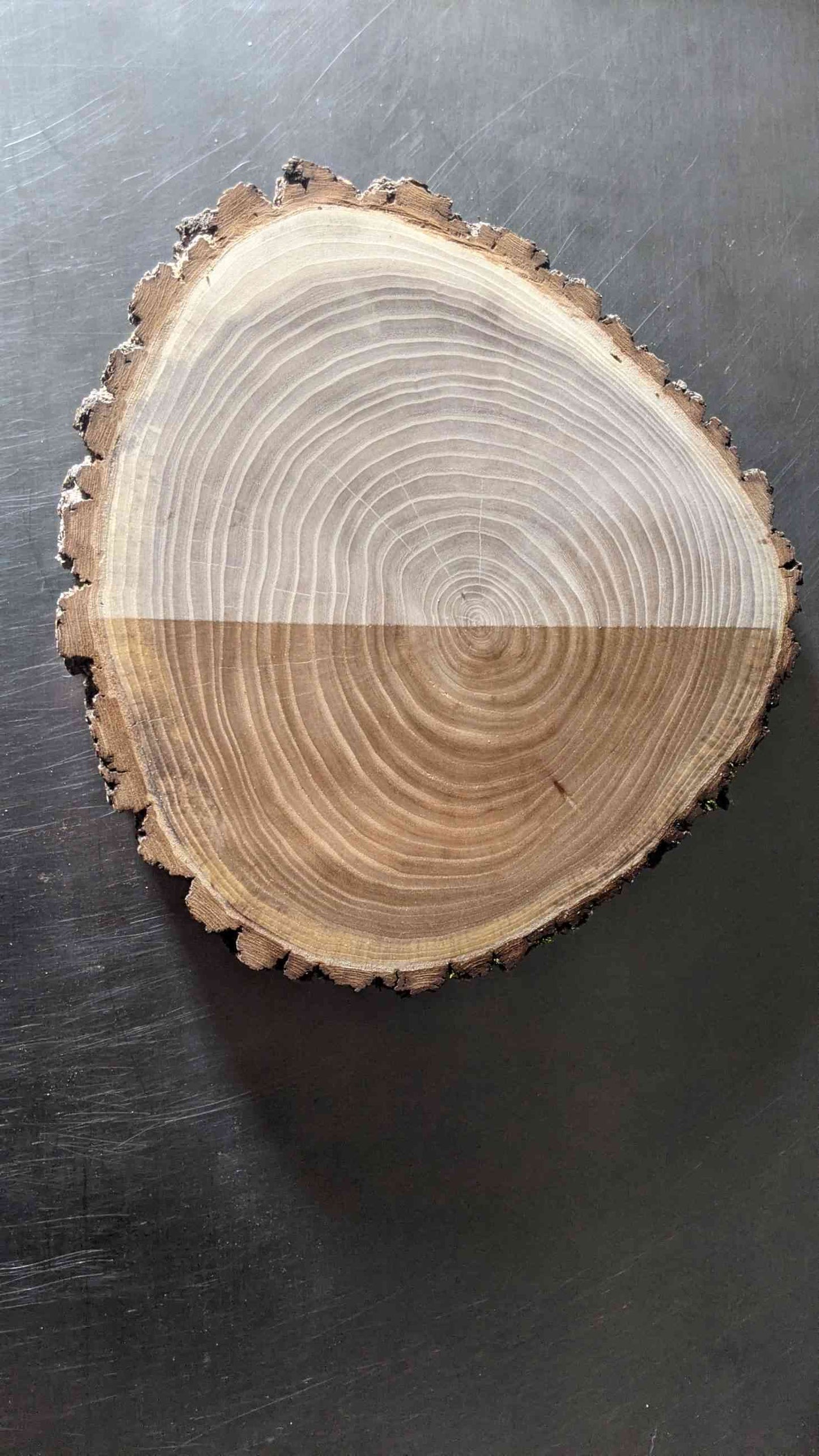 10-12" Live Edge Cookies (Rounds)