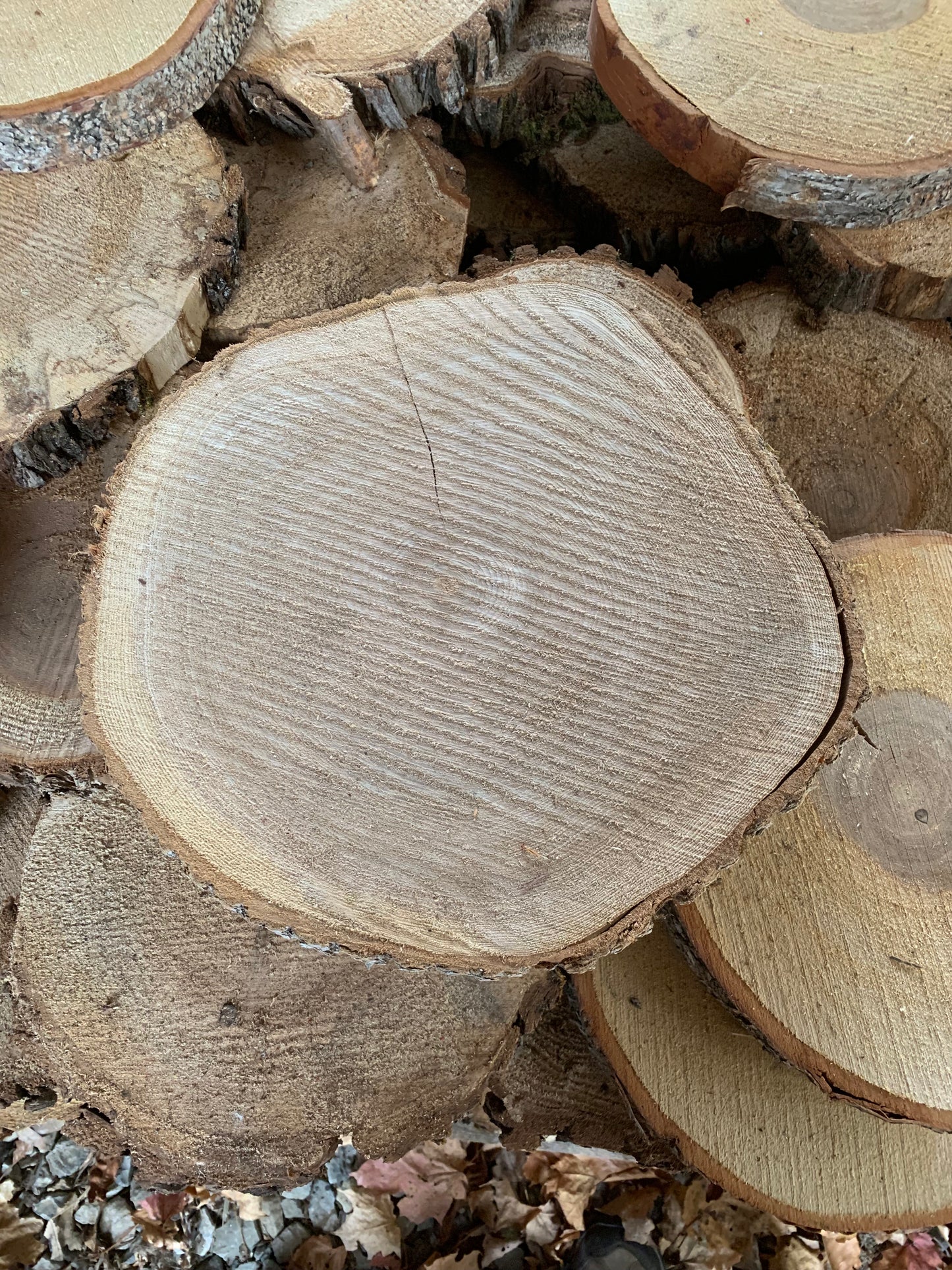 10-12" Live Edge Cookies (Rounds)